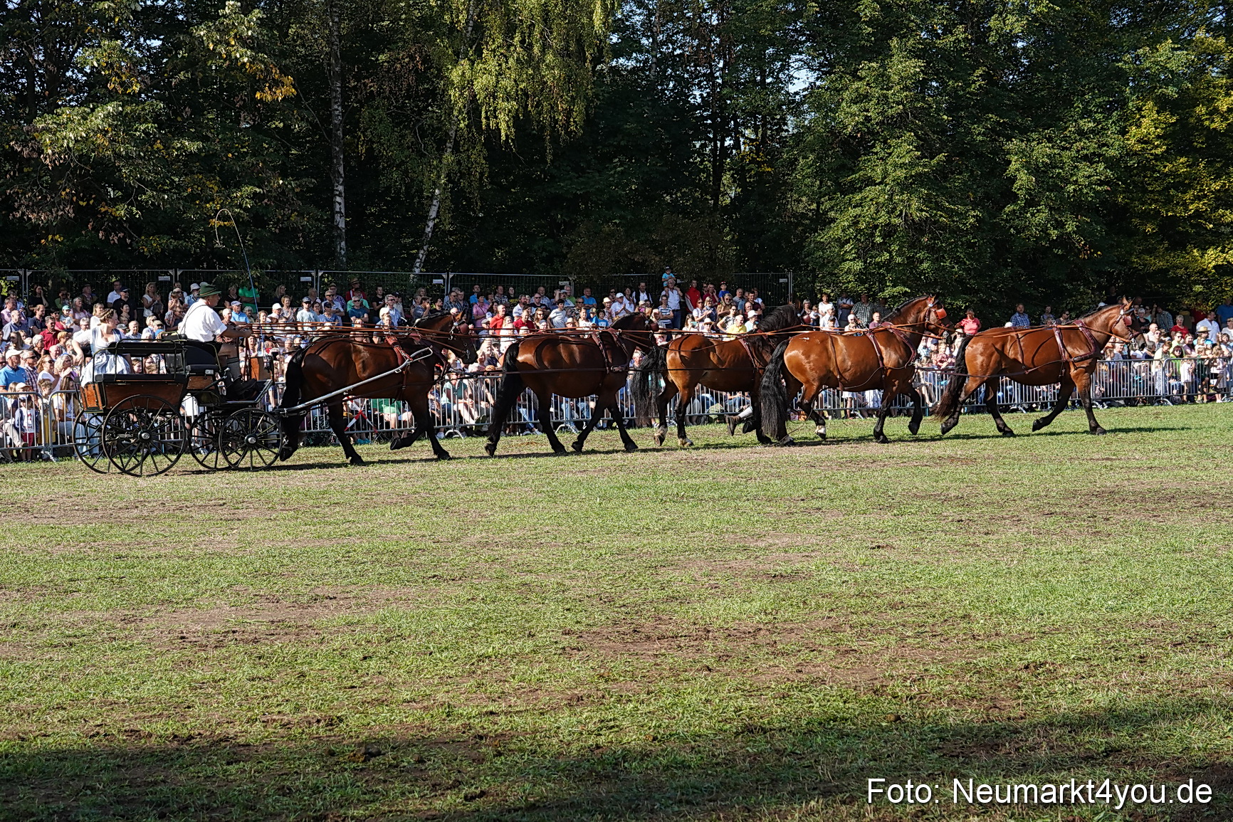 Pferde und Fohlenschau 2022 0075 